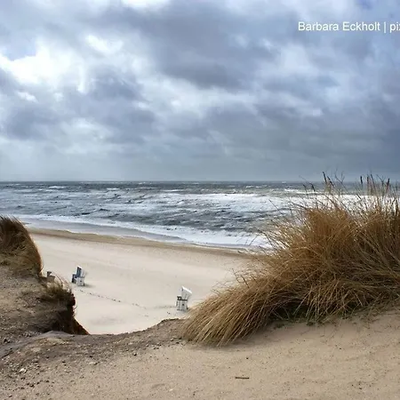 Sudblick-sylt *
